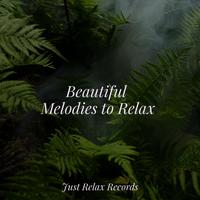 Beautiful Melodies to Relax