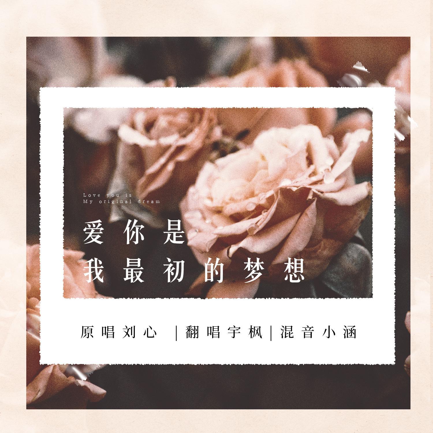 爱你是我最初的梦想封面