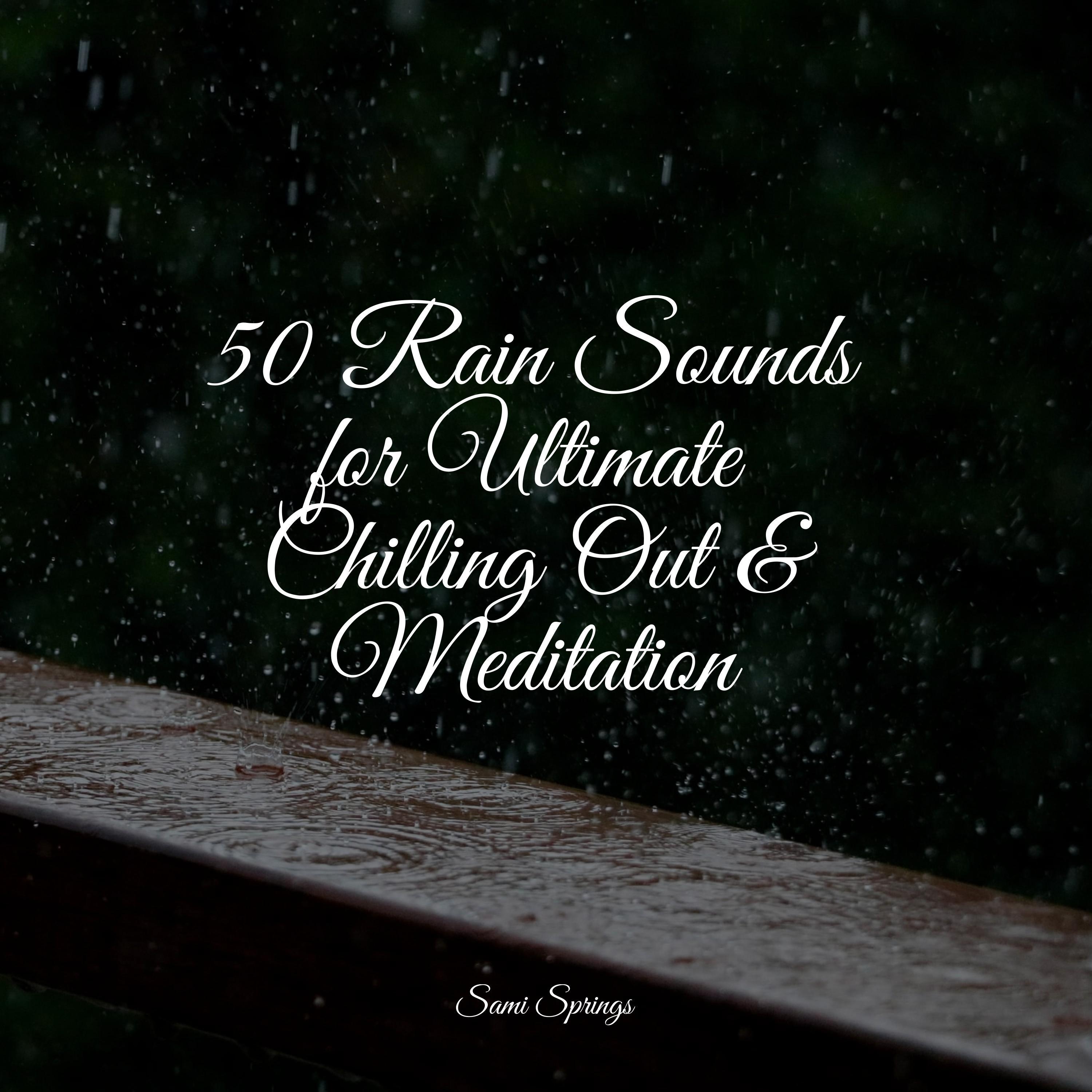 Rain, Light, Forest - Relaxing Rain Sounds/Deep Sleep FX/Música