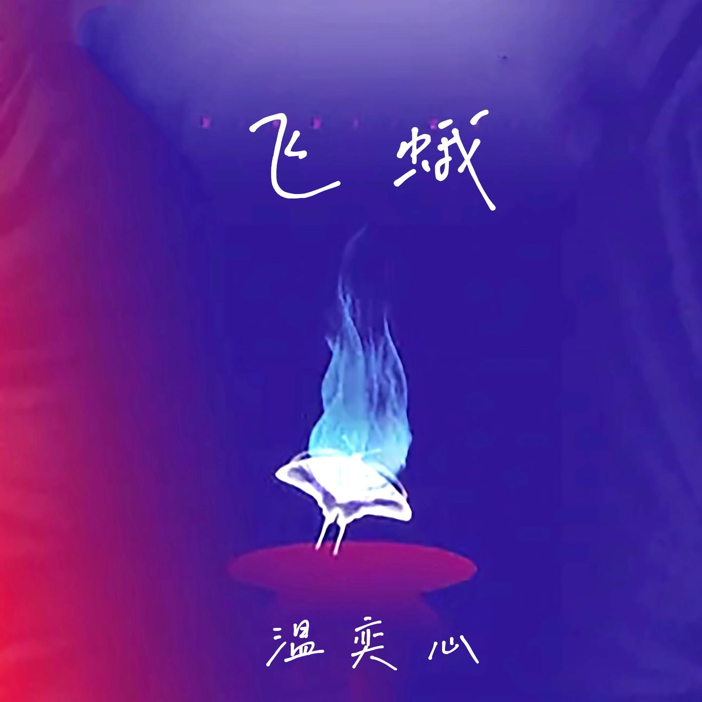 飞蛾 (伴奏)封面