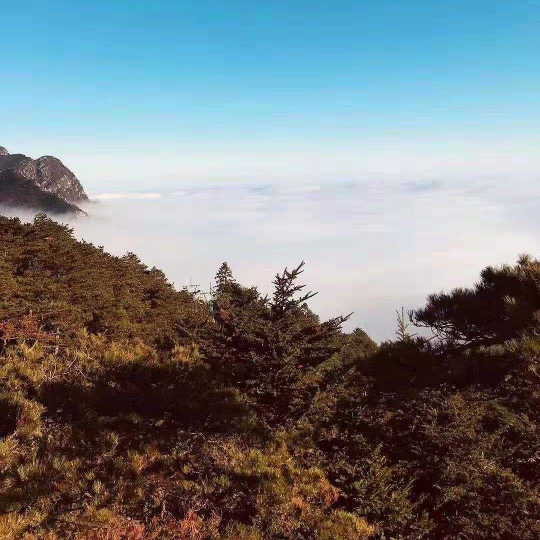 可不可以封面
