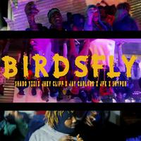 BirdsFly