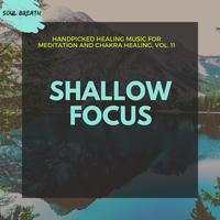 Shallow Focus - Handpicked Healing Music For Meditation And Chakra Healing, Vol. 11