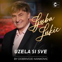 Uzela si sve (Live)