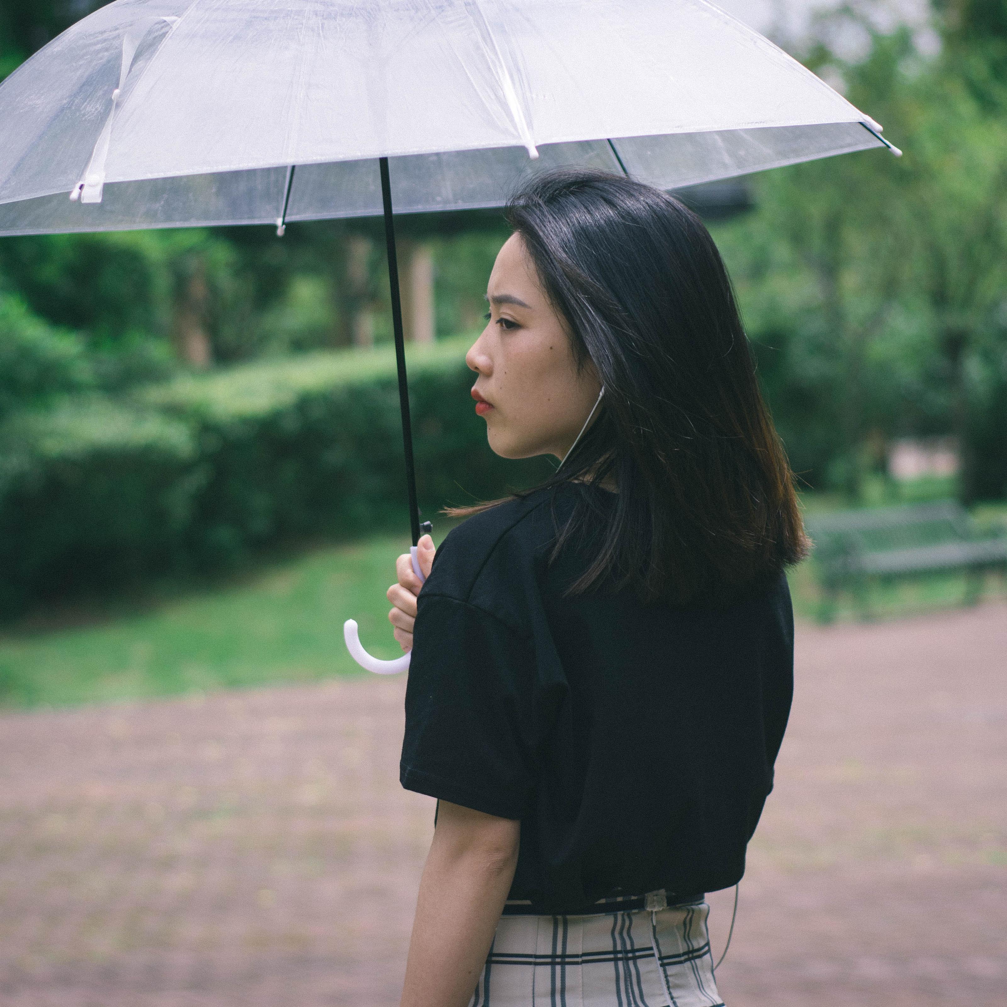 菩提偈封面