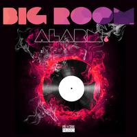 Big Room Alarm, Vol. 6