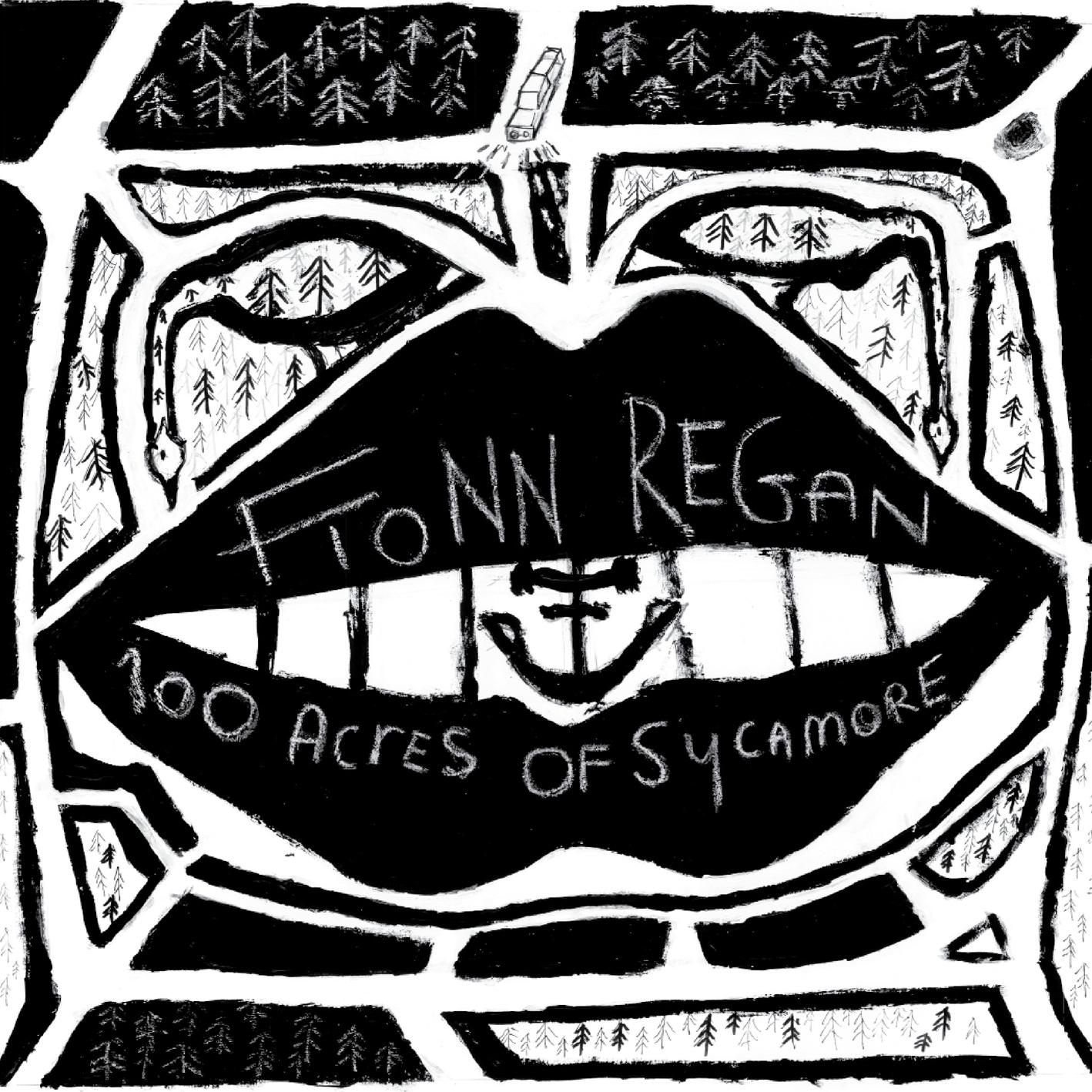 Dogwood Blossom_Fionn Regan_100 Acres Of Sycamore | 在线播放_Dogwood Blossom歌词_Dogwood Blossom下载 | 网易云音乐