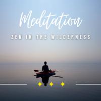 Zen in the Wilderness: Calm Nature Meditations