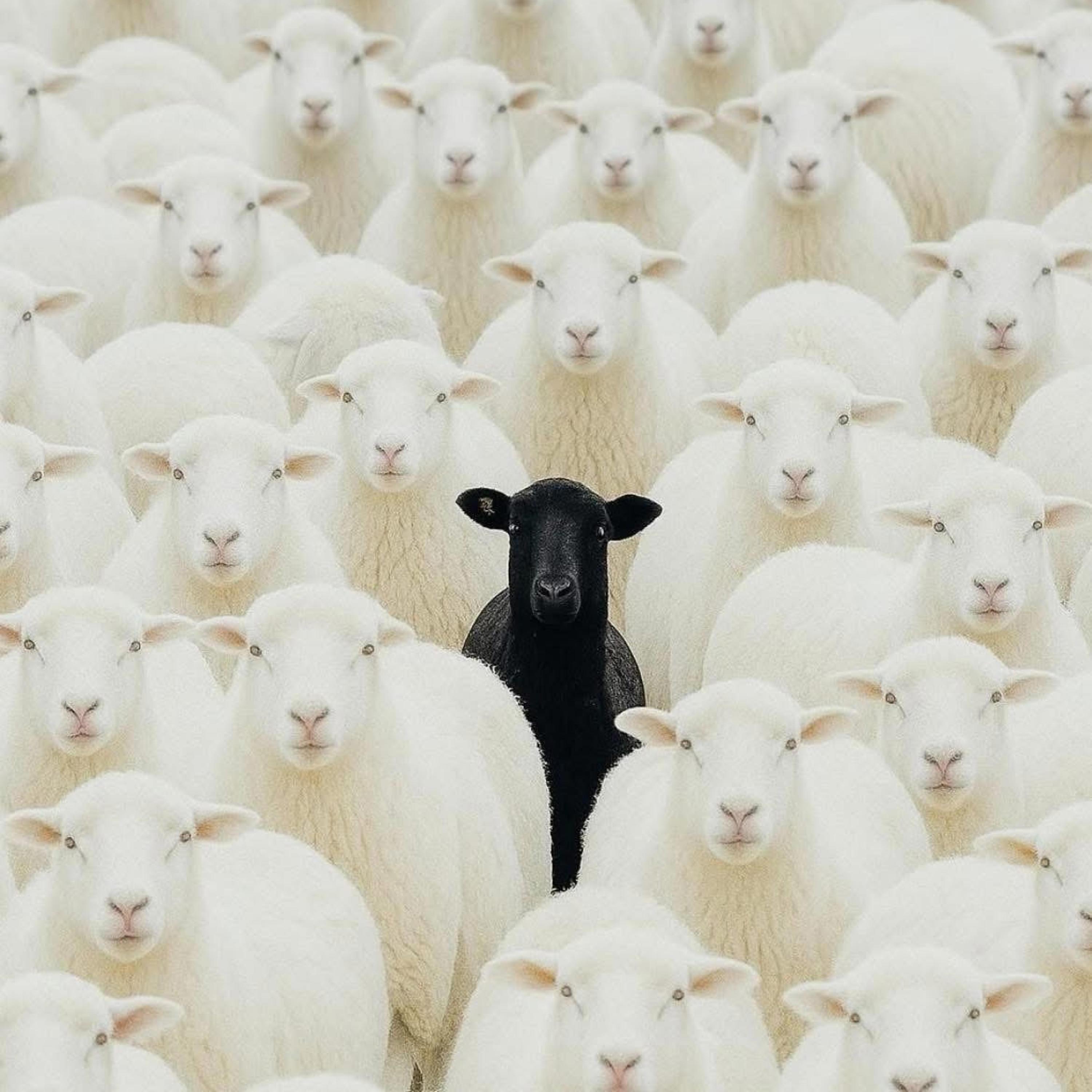 10 (feat. Devaroux, TG ThirtyOne, Skully & Travis Cha$e)