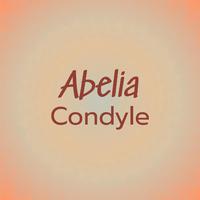 Abelia Condyle