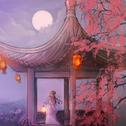 混剪