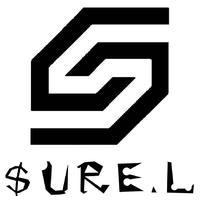 大硕SURE_L(刘斯硕)