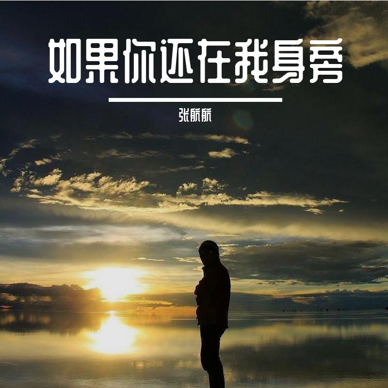 爱殇 伴奏封面
