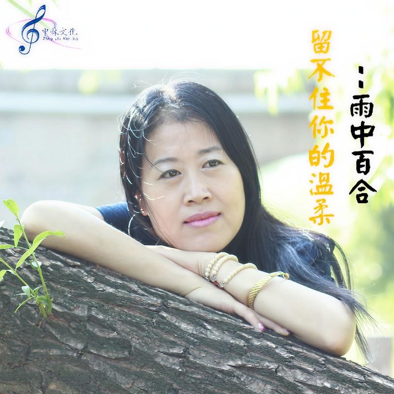 留不住你的温柔封面