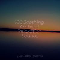 100 Soothing Ambient Relaxation Sounds