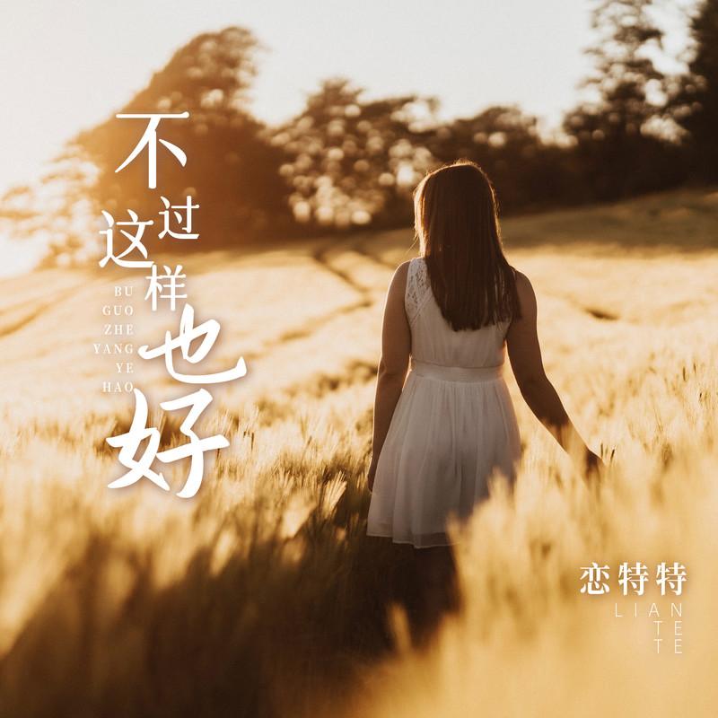不过这样也好 (DJBanan版伴奏)封面