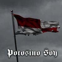 Potosino Soy (Radio Edit)