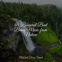 40 Binaural Beat Being Music from Nature