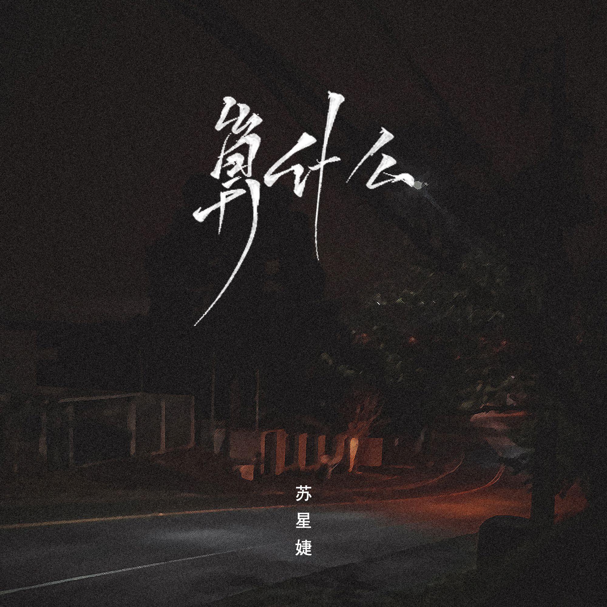 算什么 - 苏星婕封面