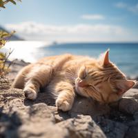 Música De La Costa Felina: Melodías De Gatos Oceánicos