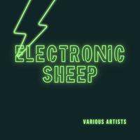 Electronic Sheep