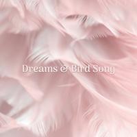 Dreams & Bird Song