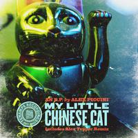 My Little Chinese Cat