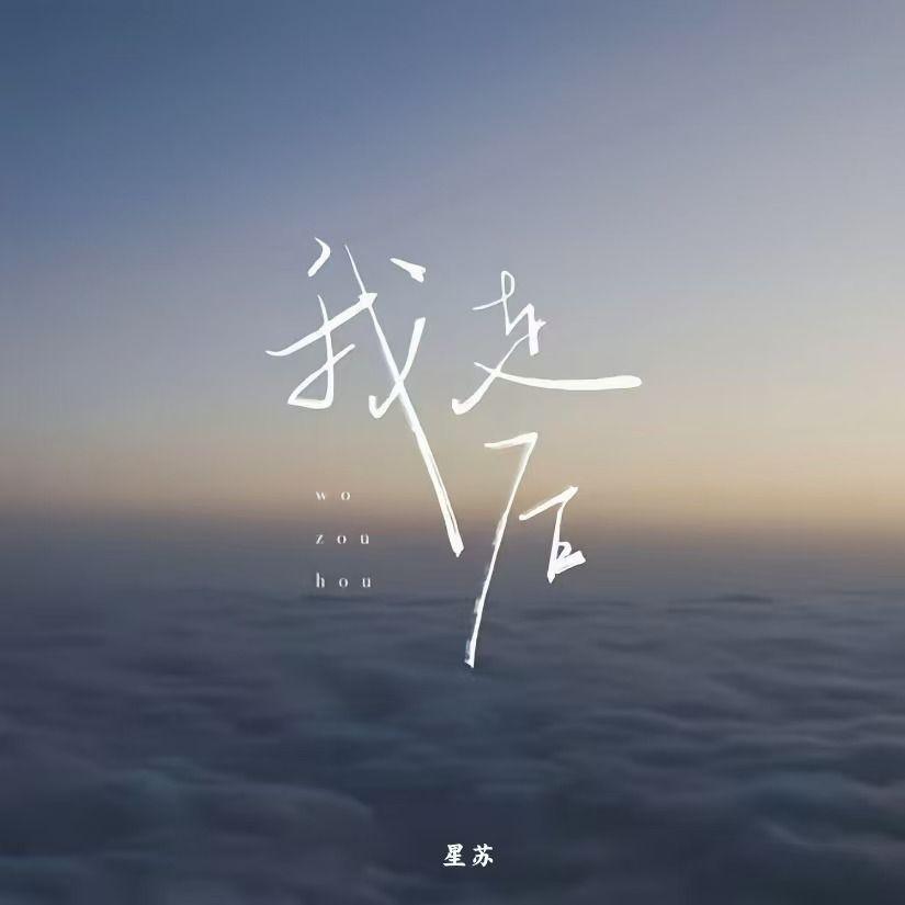 我要你看穿我不是杀了我封面