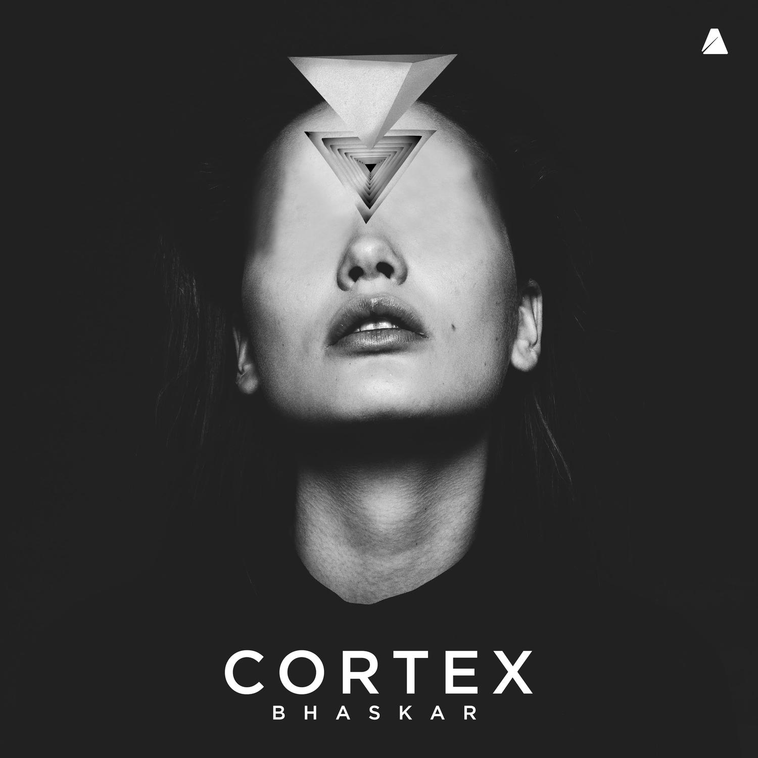Córtex