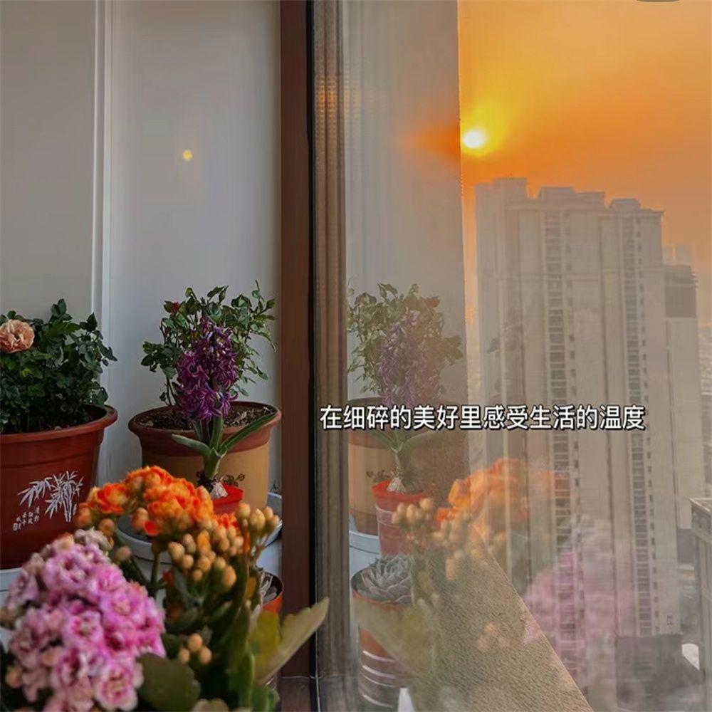 天翻地覆 - 雨打湿情绪封面