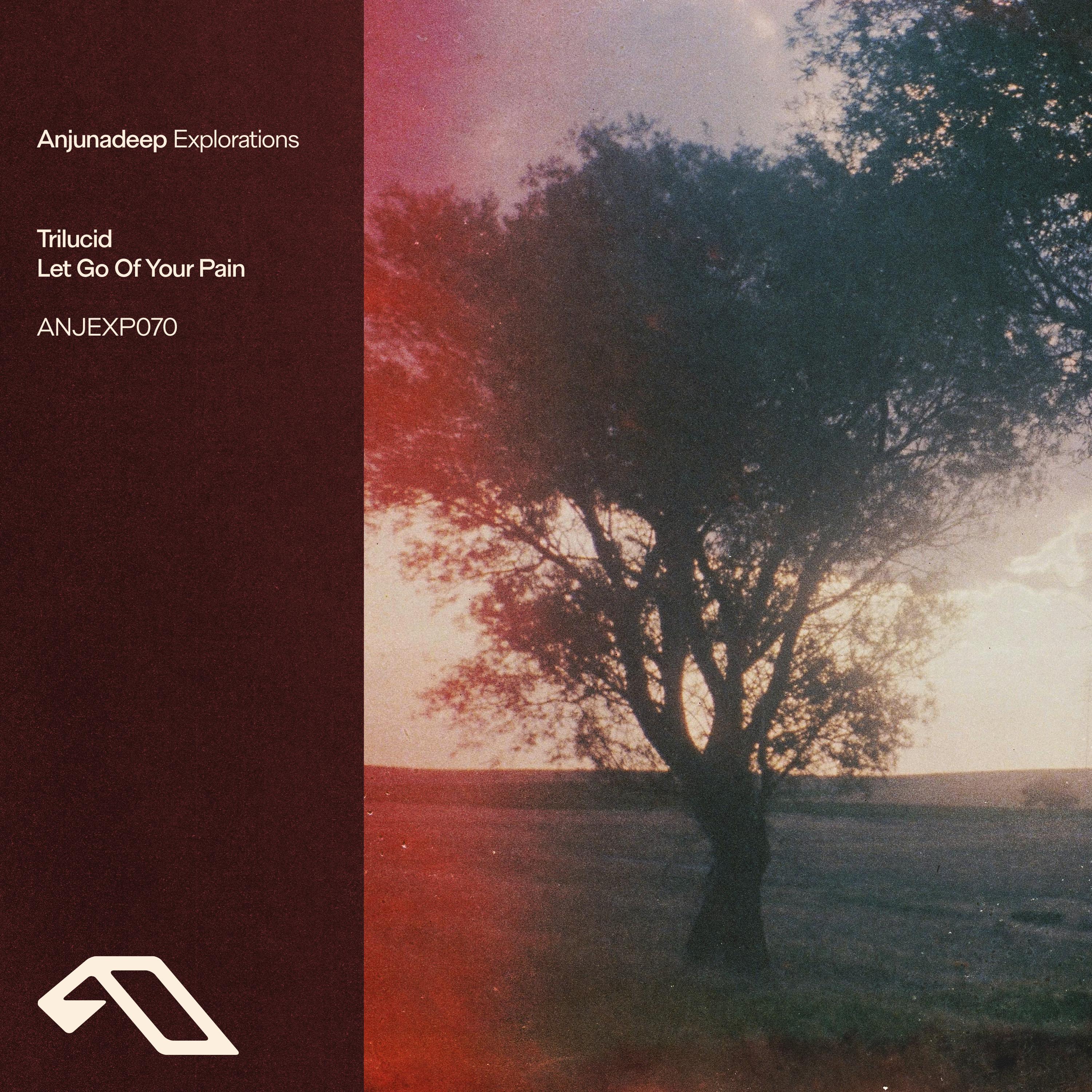 Let Go Of Your Pain (Extended Mix)