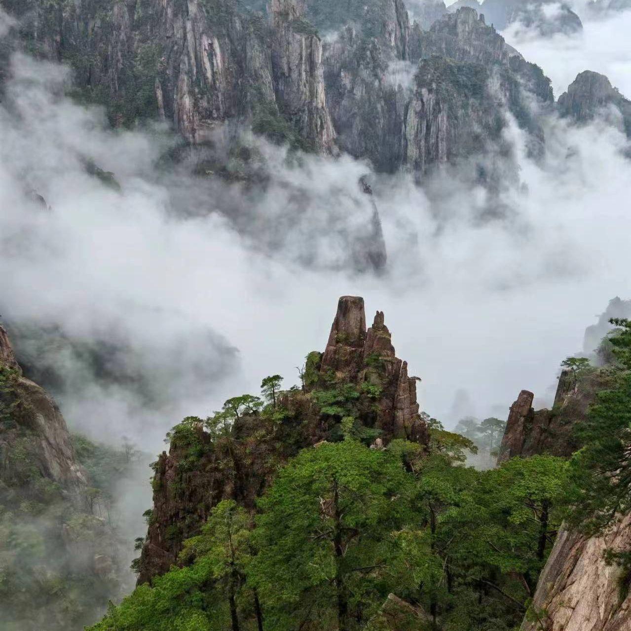 山外小楼夜听雨封面