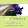 Felix Schwartz - Sonate für Arpeggione und Klavier in A Minor, D. 821: III. Allegretto