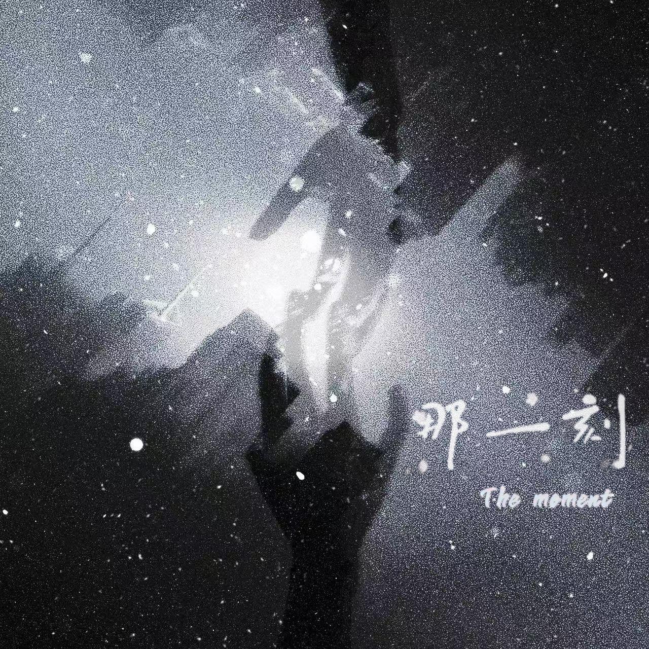 那一刻（The moment）