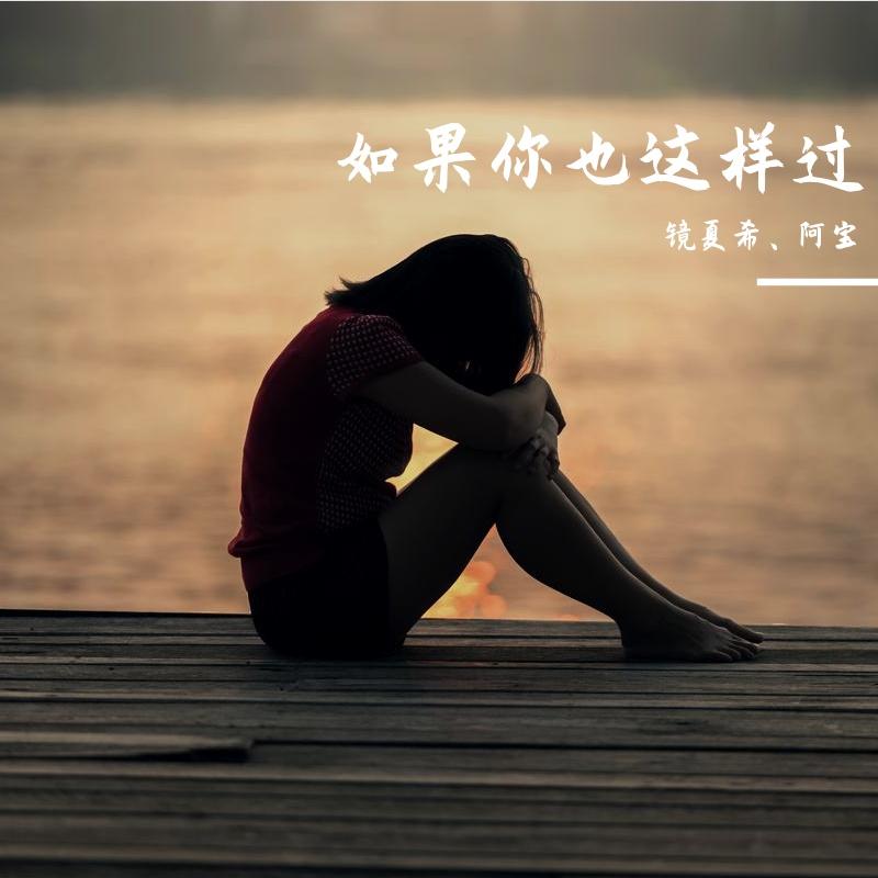 如果你也这样过封面