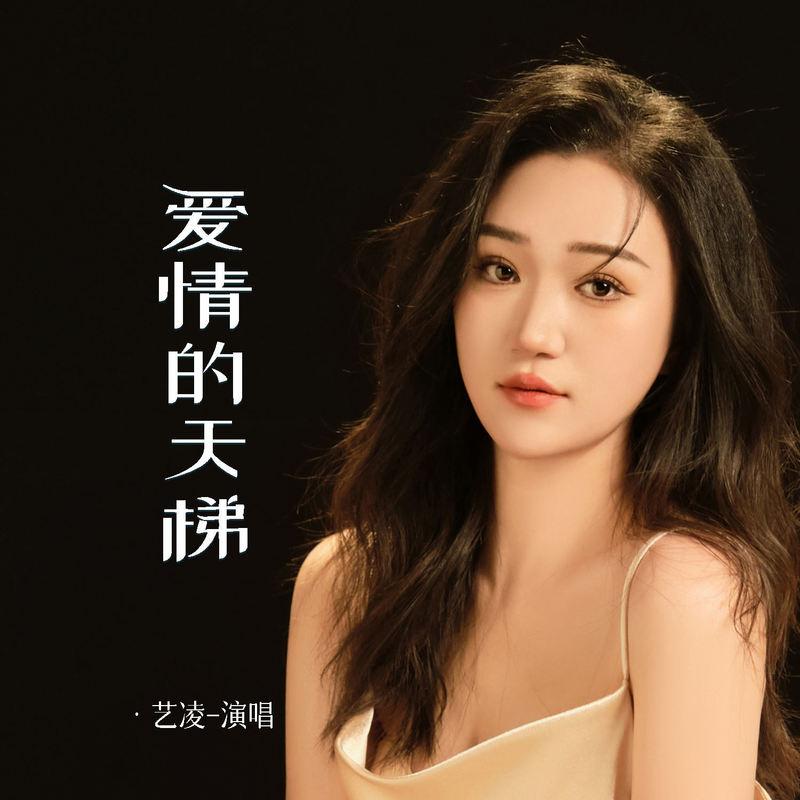 爱情的天梯 (伴奏)封面