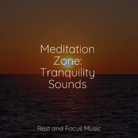 Meditation Zone: Tranquility Sounds