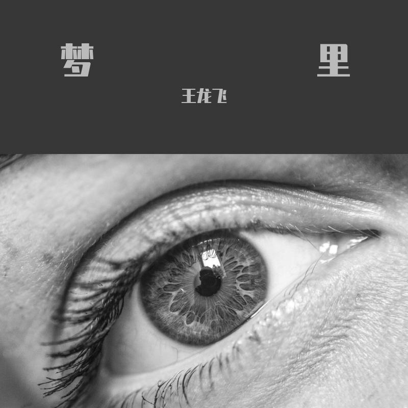 梦里 伴奏 - 王龙飞封面