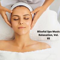 Blissful Spa Music Relaxation, Vol. 05