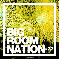 Big Room Nation, Vol. 22