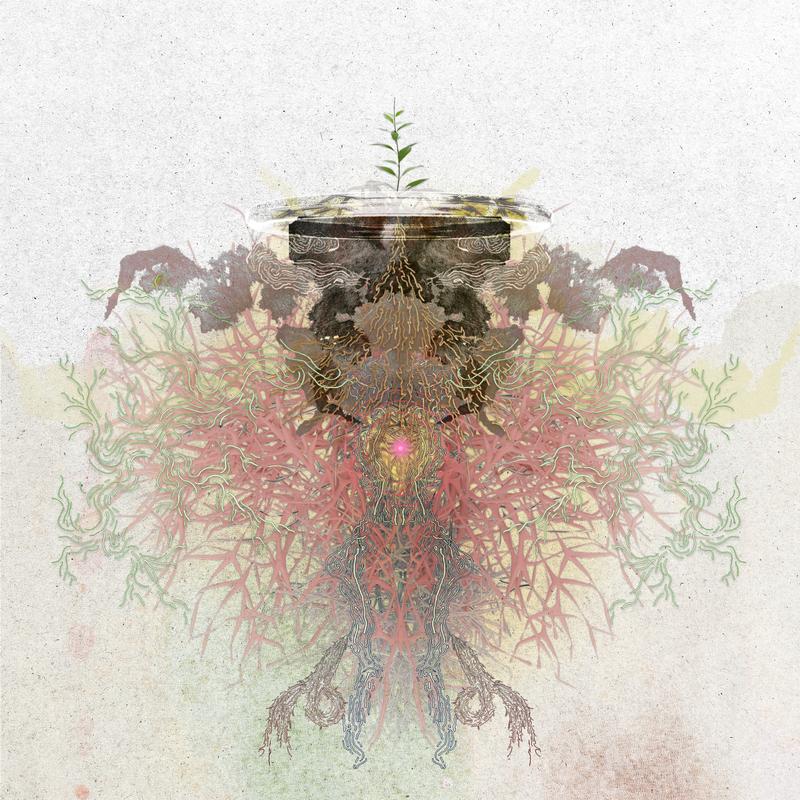 ขอบคุณ (Analog)