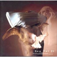 Seotaiji V