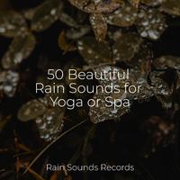 50 Beautiful Rain Sounds for Yoga or Spa