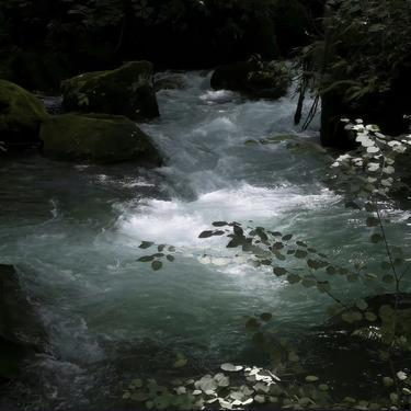 眼泪是回到过去的河流封面