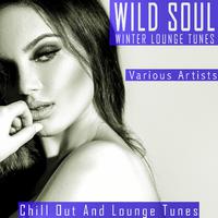 Wild Soul - Winter Lounge Tunes