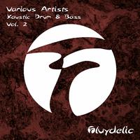 Kaustic Drum & Bass, Vol. 2