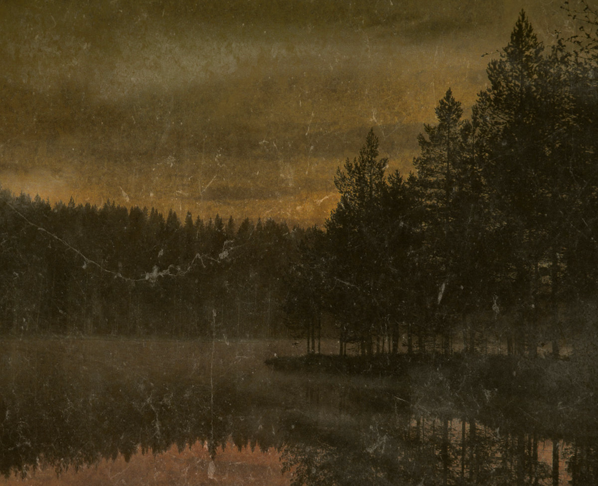 Autumn, Leaves, Scars
