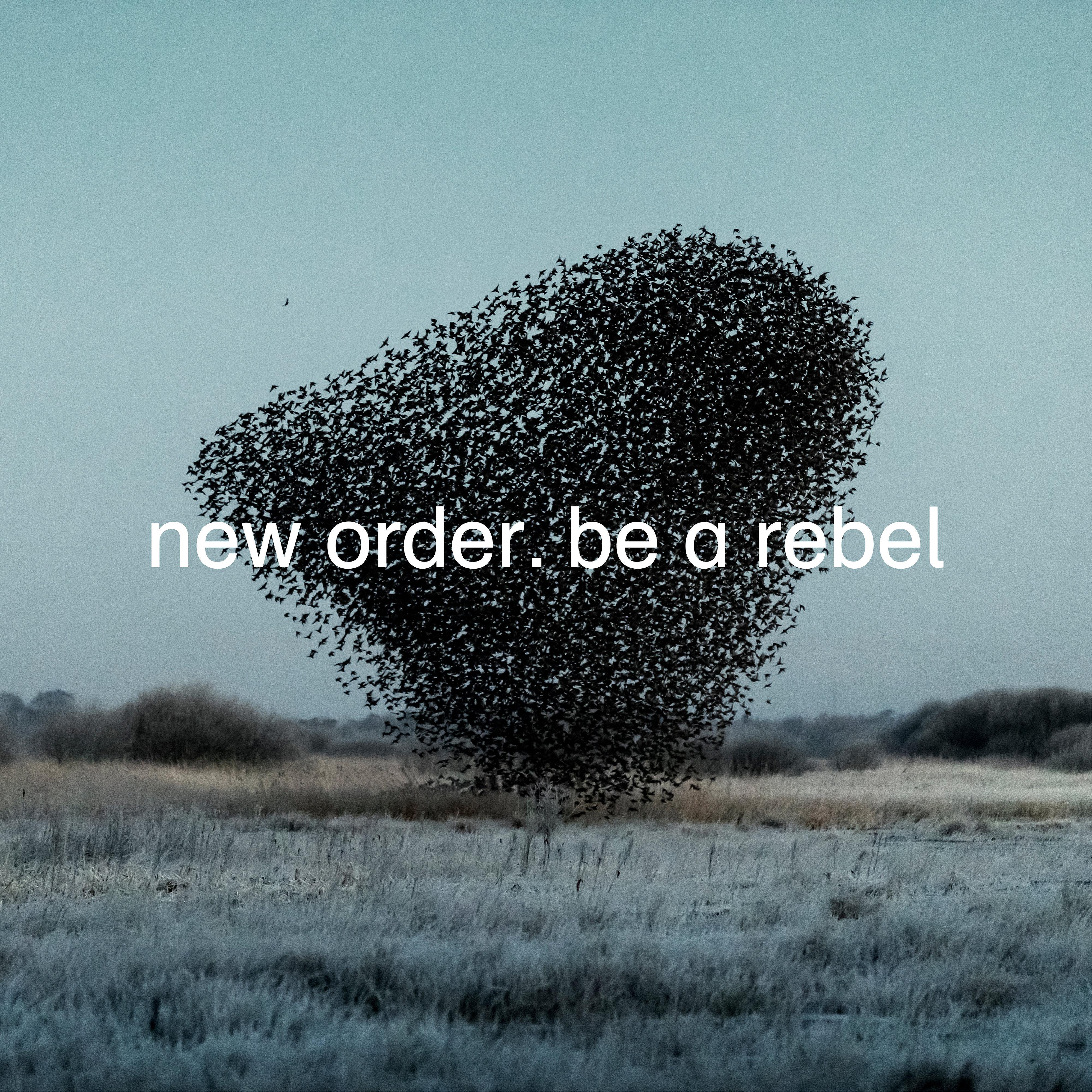 Be a Rebel_New Order_Be a Rebel | 在线播放_Be a Rebel歌词_Be a Rebel下载 | 网易云音乐