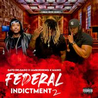 Federal Indictment 2