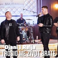 Trosio me zivot brate (Cover)